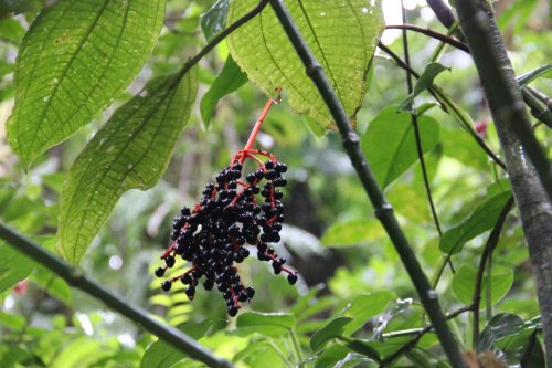 IMG_3416